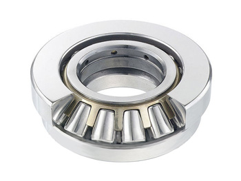 Роліковий завзятий